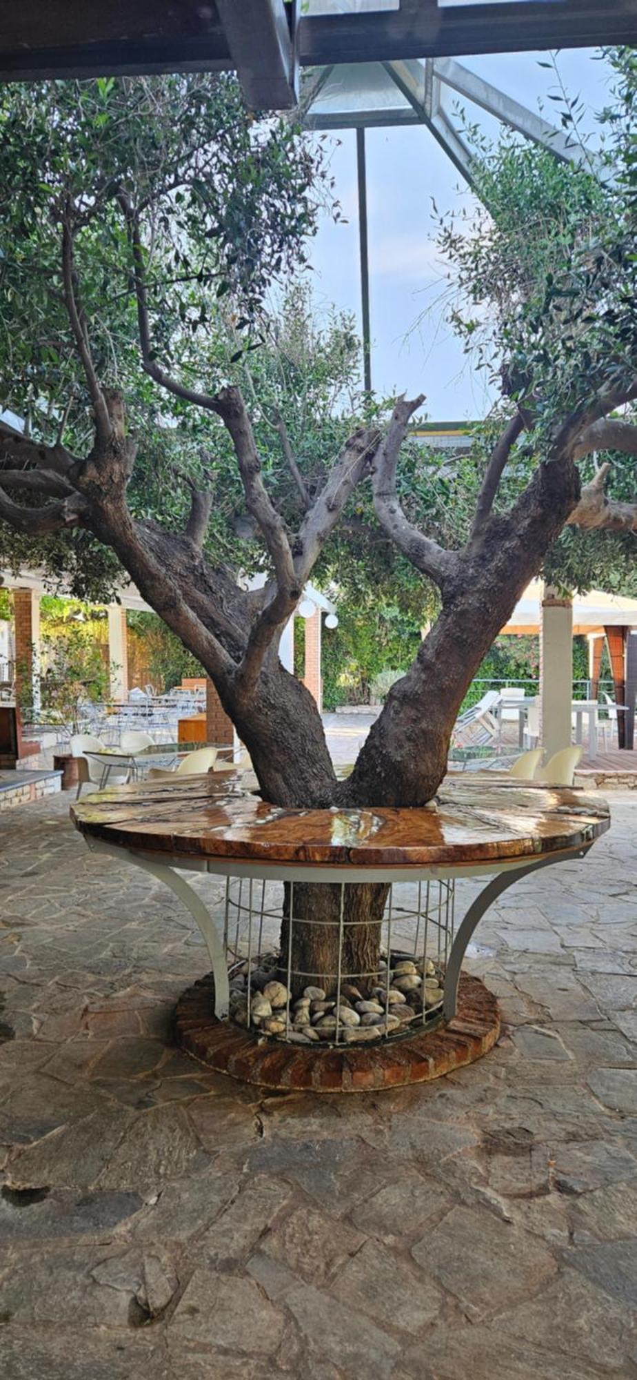 Olympic Village Hotel & Spa Ancient Olympia Dış mekan fotoğraf